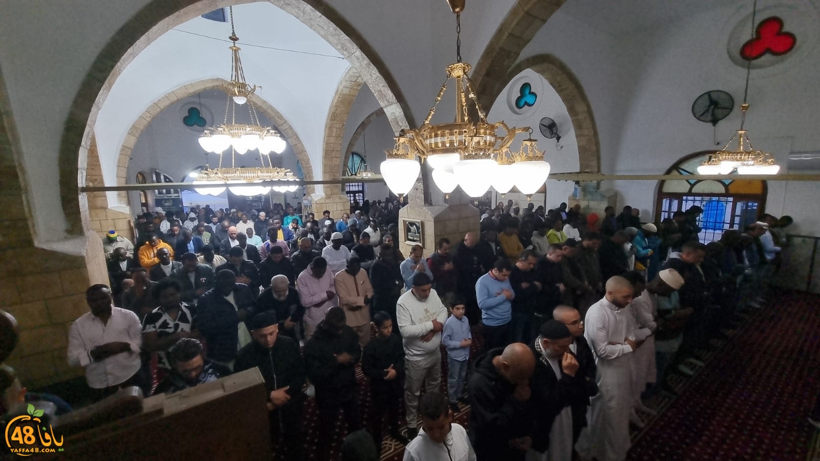 WhatsApp Image 2024-04-10 at 6.58.41 AM (1).jpeg